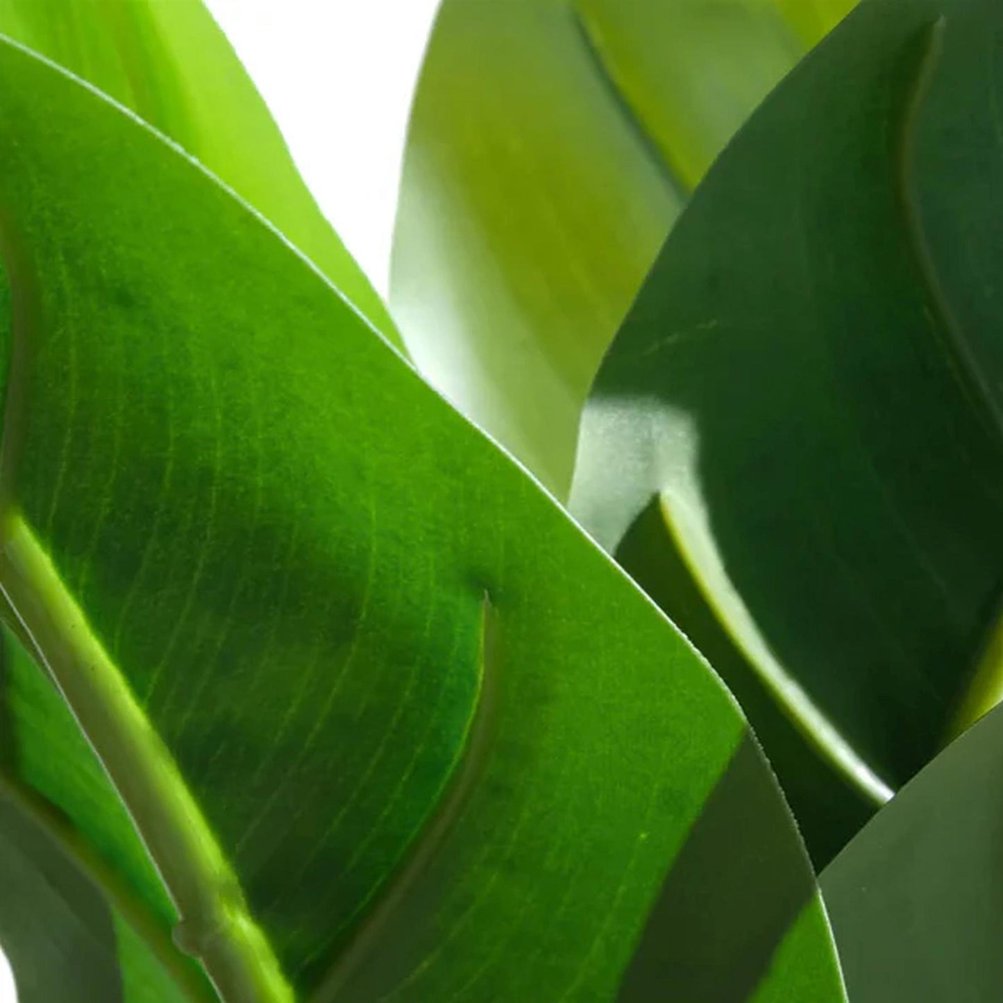 45cm Artificial Aureum Plant – image 5