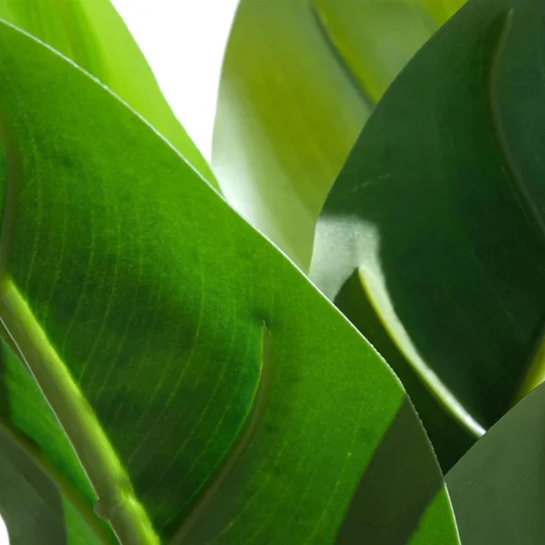 45cm Artificial Aureum Plant – image 5