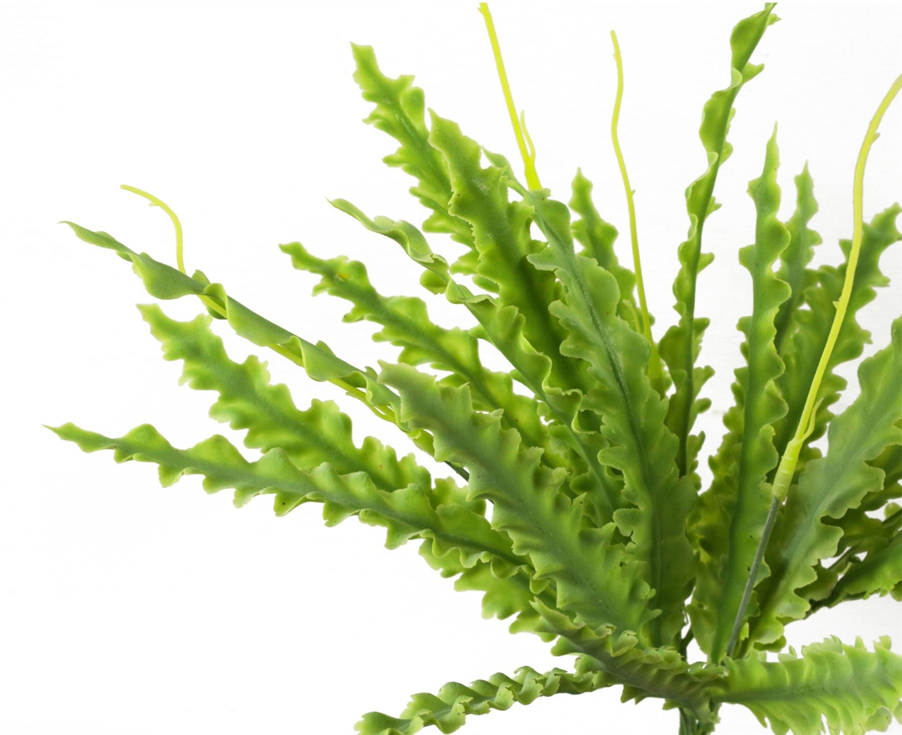 40cm Artificial Crocodile Fern Plant – image 4