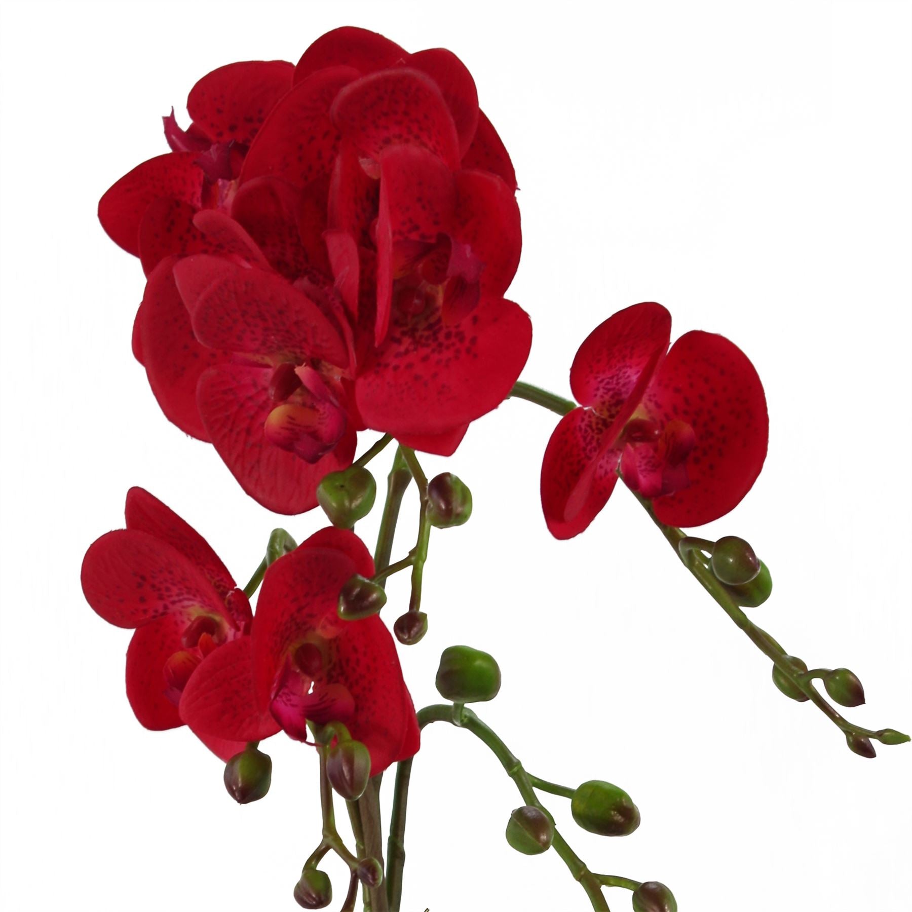50cm Phalaenopsis Orchid Artificial Red Leopard Gold Pot – image 3