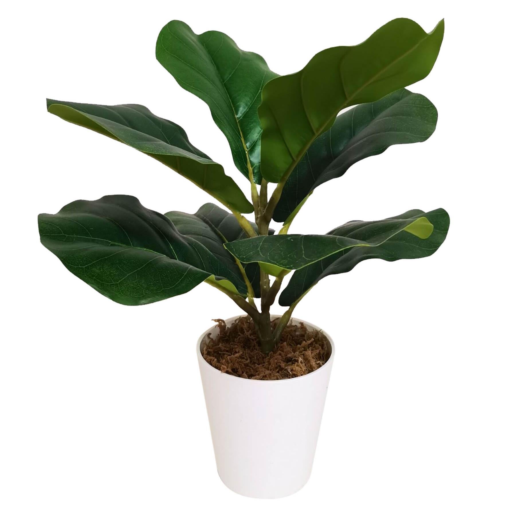 38cm Potted Artificial Fiddle Fig Plant – image 3