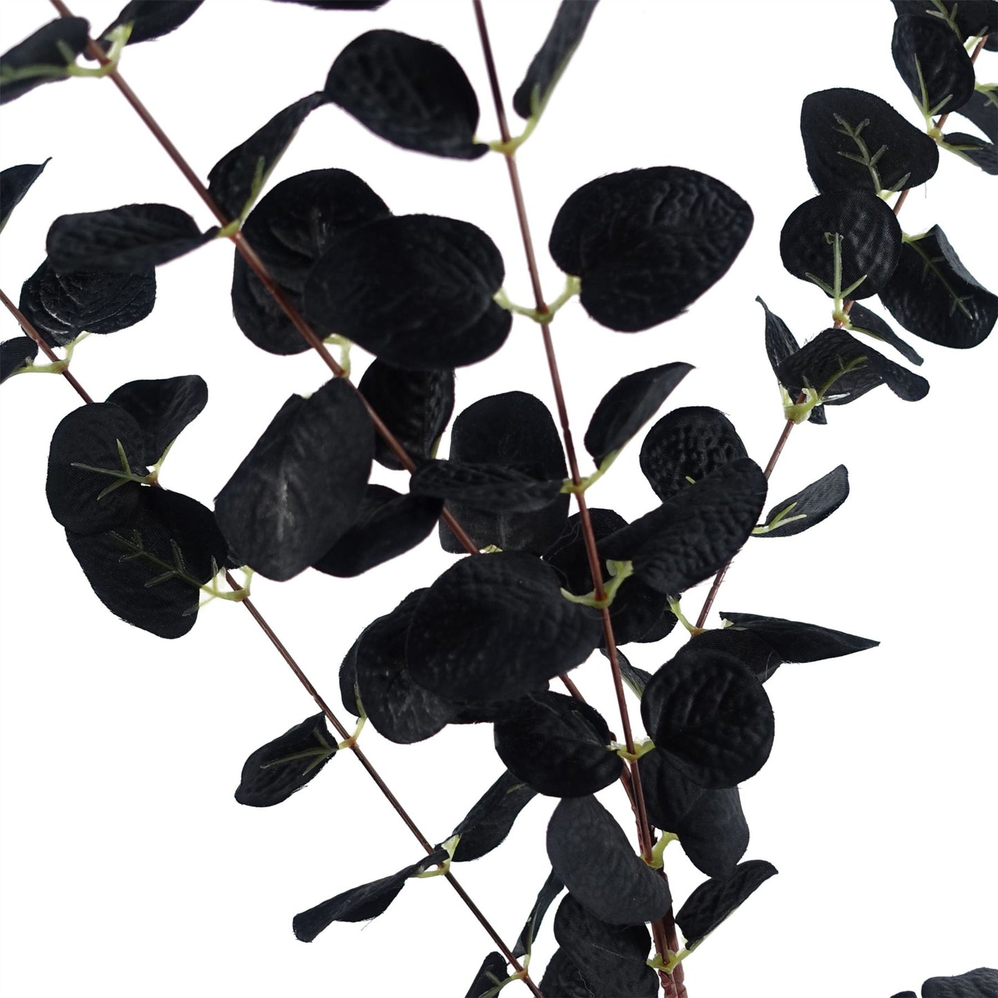 80cm Artificial Black Eucalyptus Foliage Stem – image 3