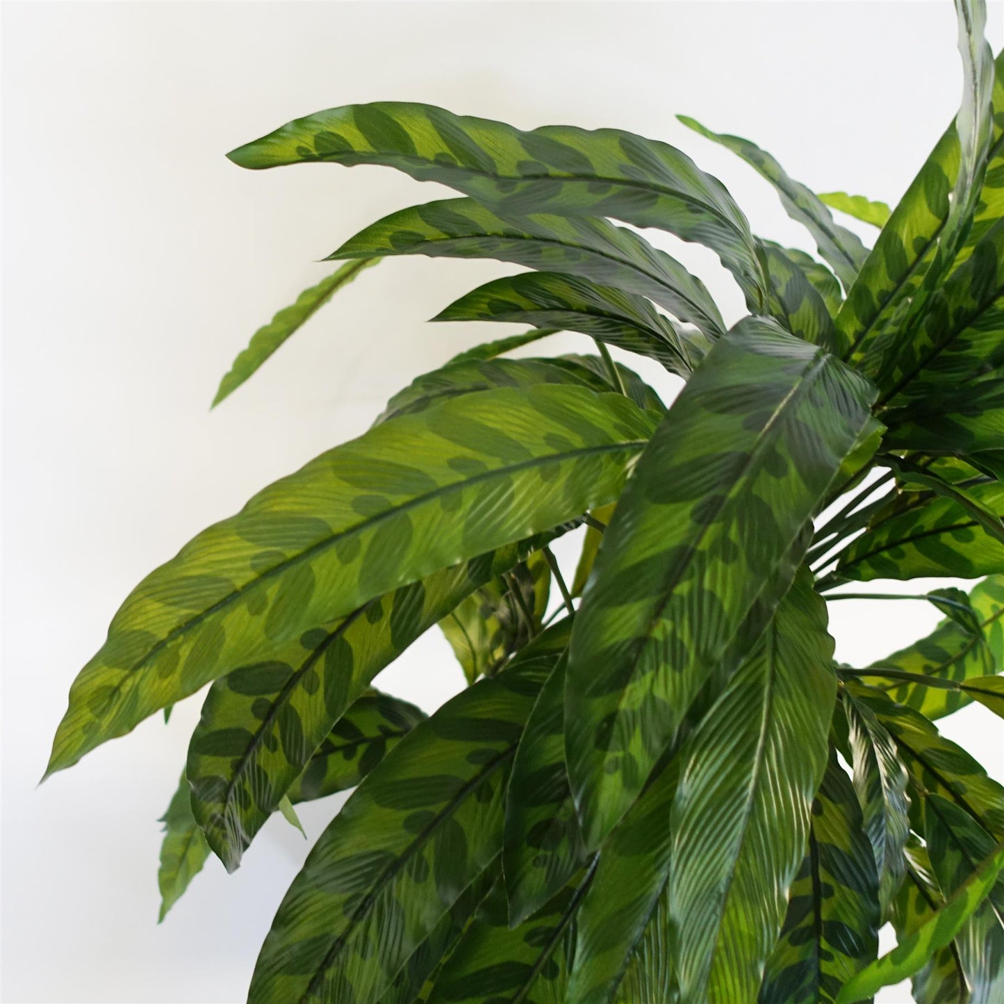 60cm Variegated Artificial Calathea Plant – image 6