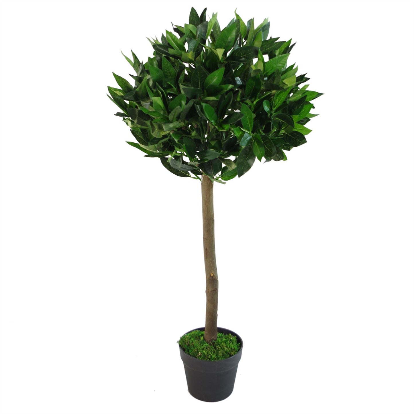 Pair of 90cm Plain Stem Artificial Topiary Bay Laurel Ball Trees – image 4