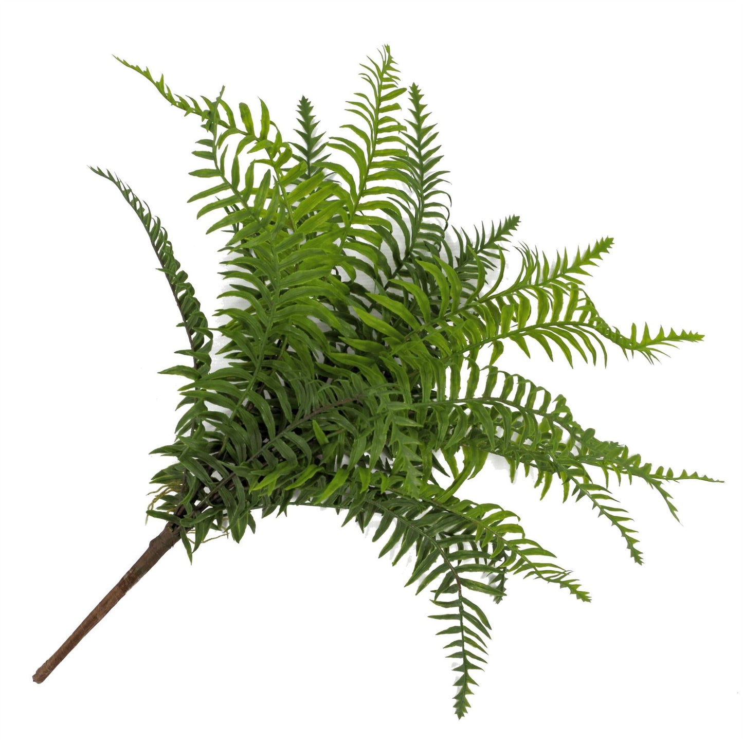 50cm Artificial Boston Fronded Fern Plant – image 7