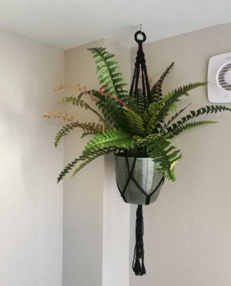 60cm Artificial Boston Fern Plant Boston Fern – image 5