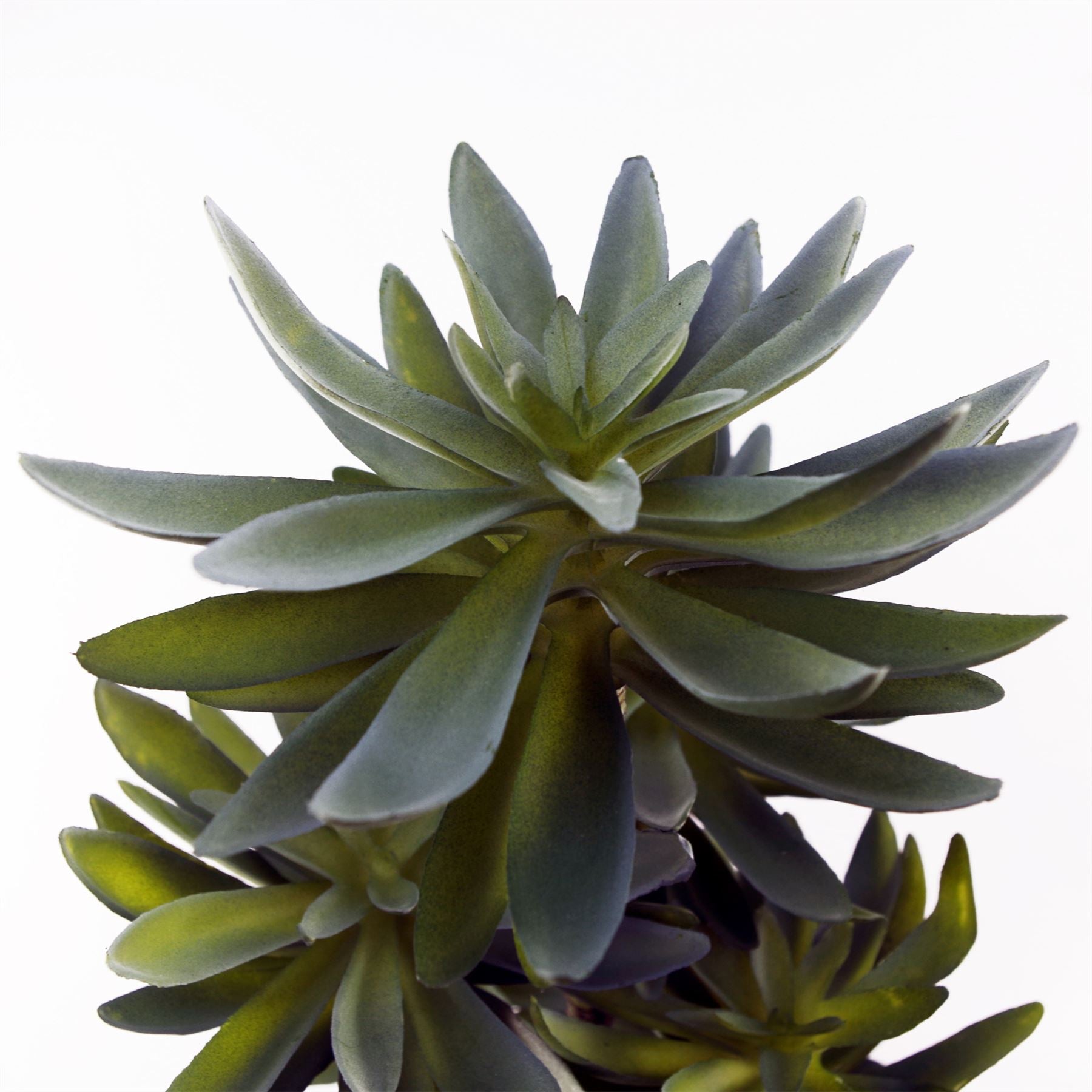 60cm Artificial Tropical Yukka in Planter – image 3