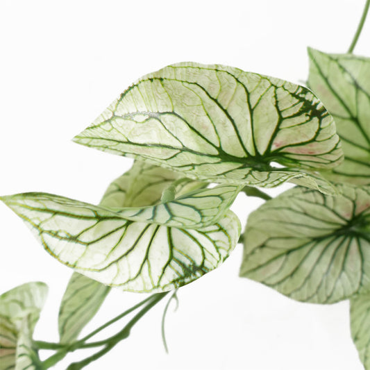 30cm Artificial Trailing Plant Variegated Potted Alocasia – image 2