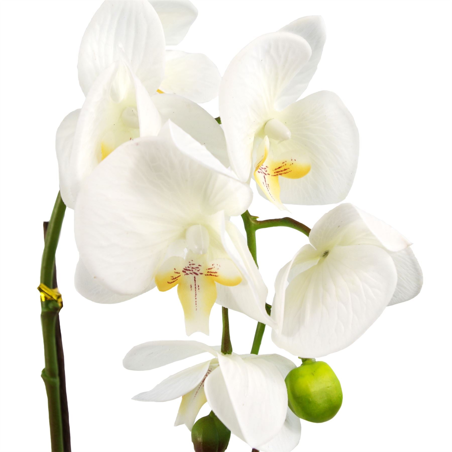 46cm Artificial Orchid White with Silver Pot – image 2
