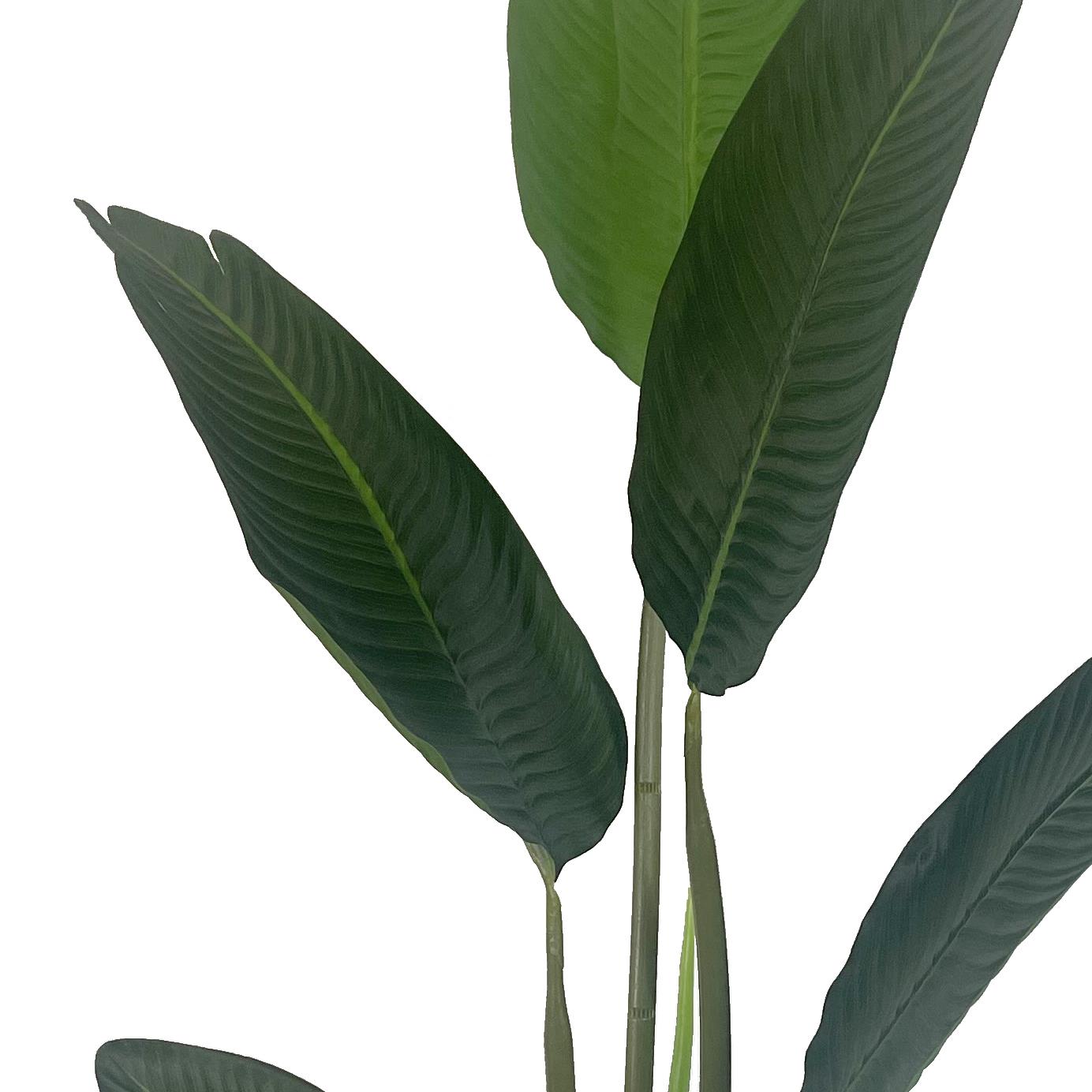 120cm Artificial UV Traveller Banana Palm Tree – image 4