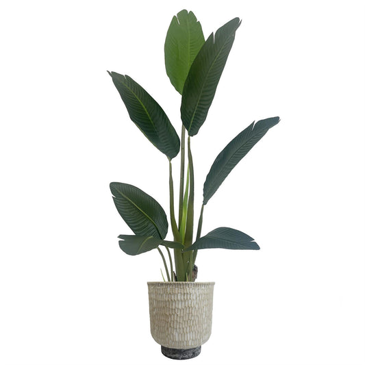 32cm x 29cm Brushed Gold Stone Effect Planter Composite Plant Pot – image 2