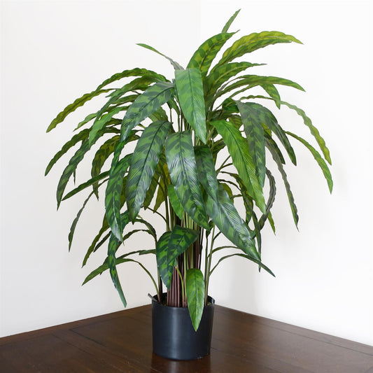 90cm Variegated Artificial Calathea Plant