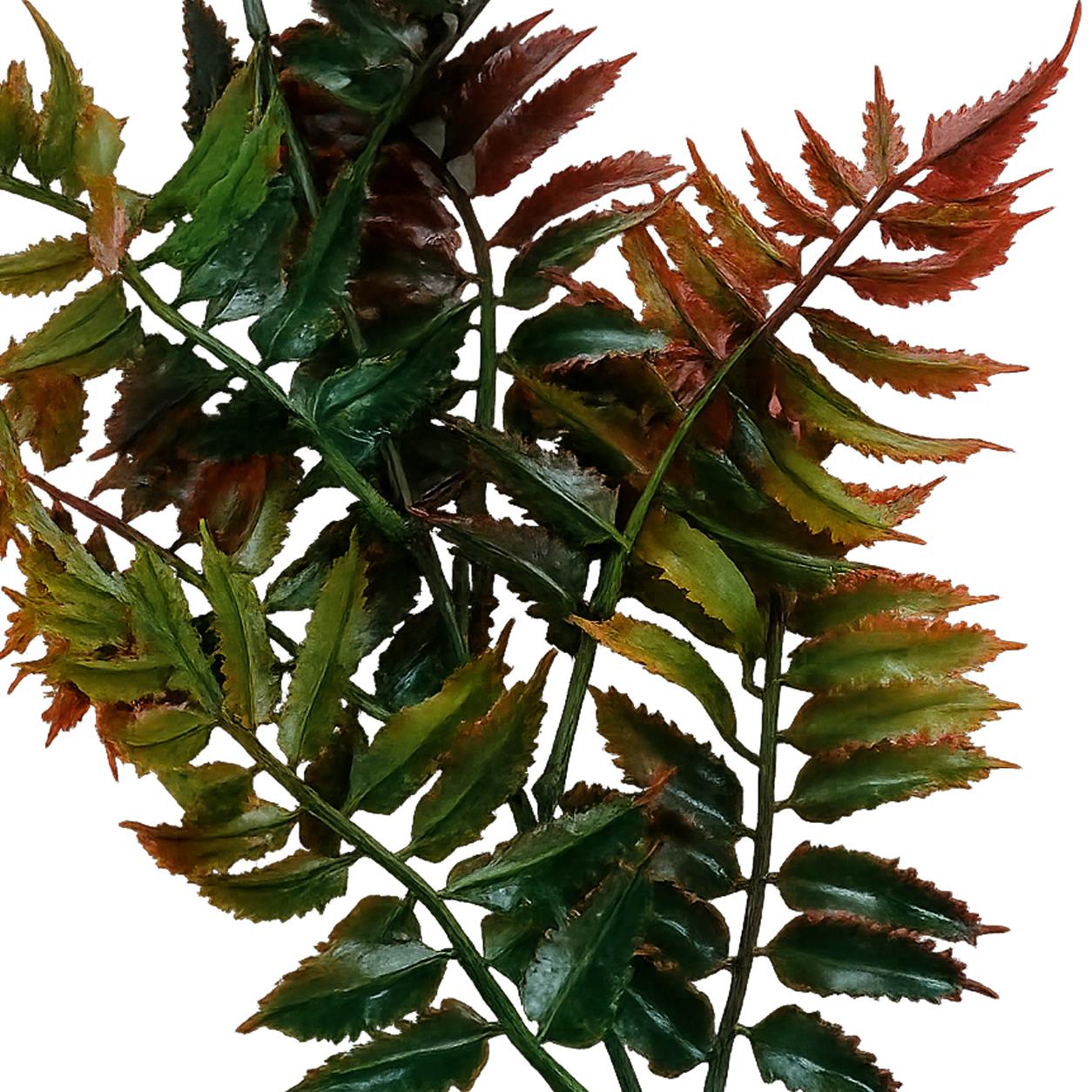 50cm Artificial Fern Spray Stem Autumn Orange – image 3