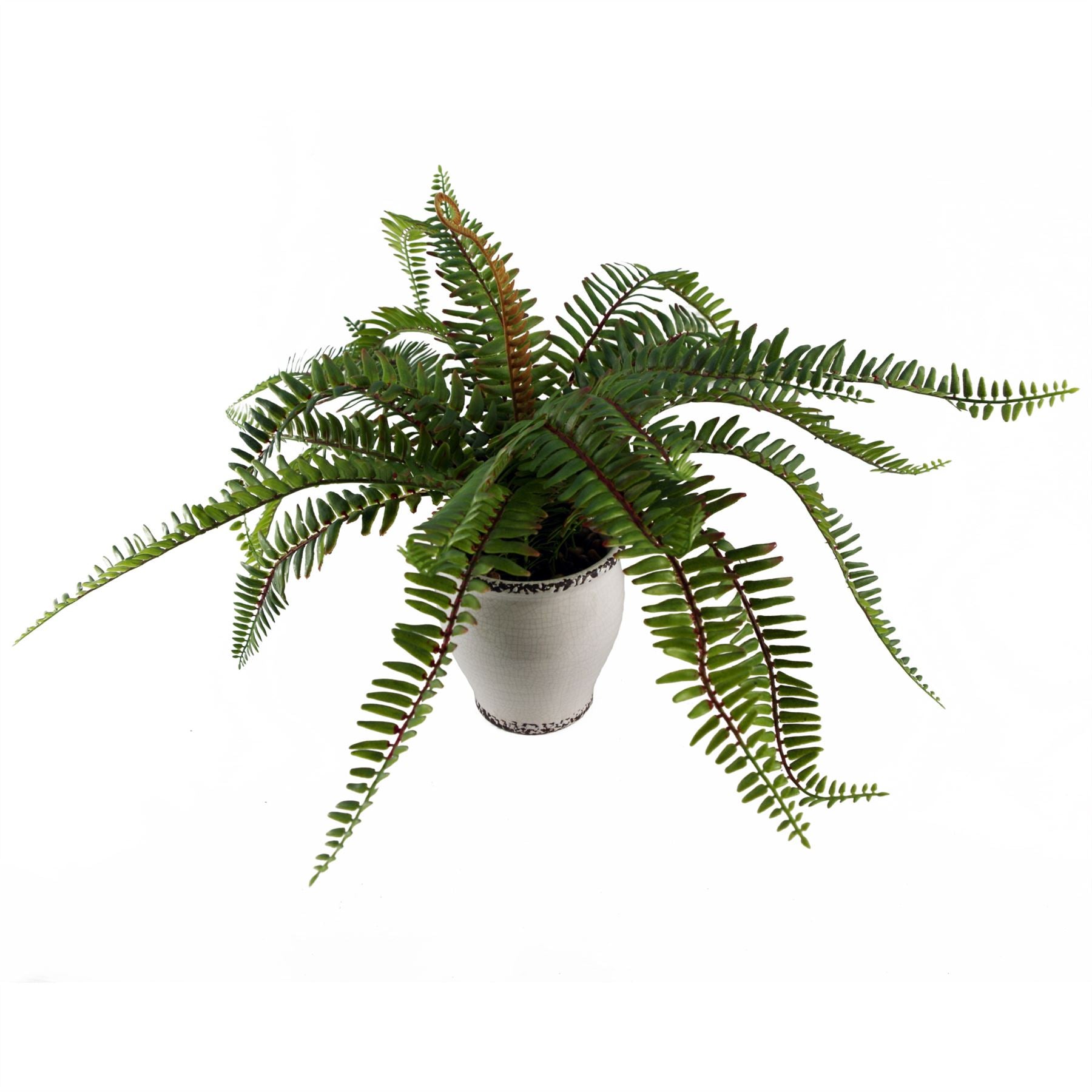 40cm Artificial Fern Bush in Decorative Planter – image 6