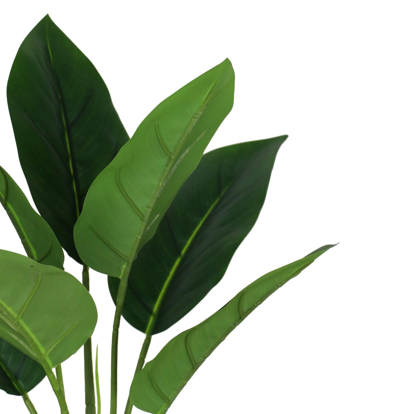 45cm Artificial Aureum Plant – image 2