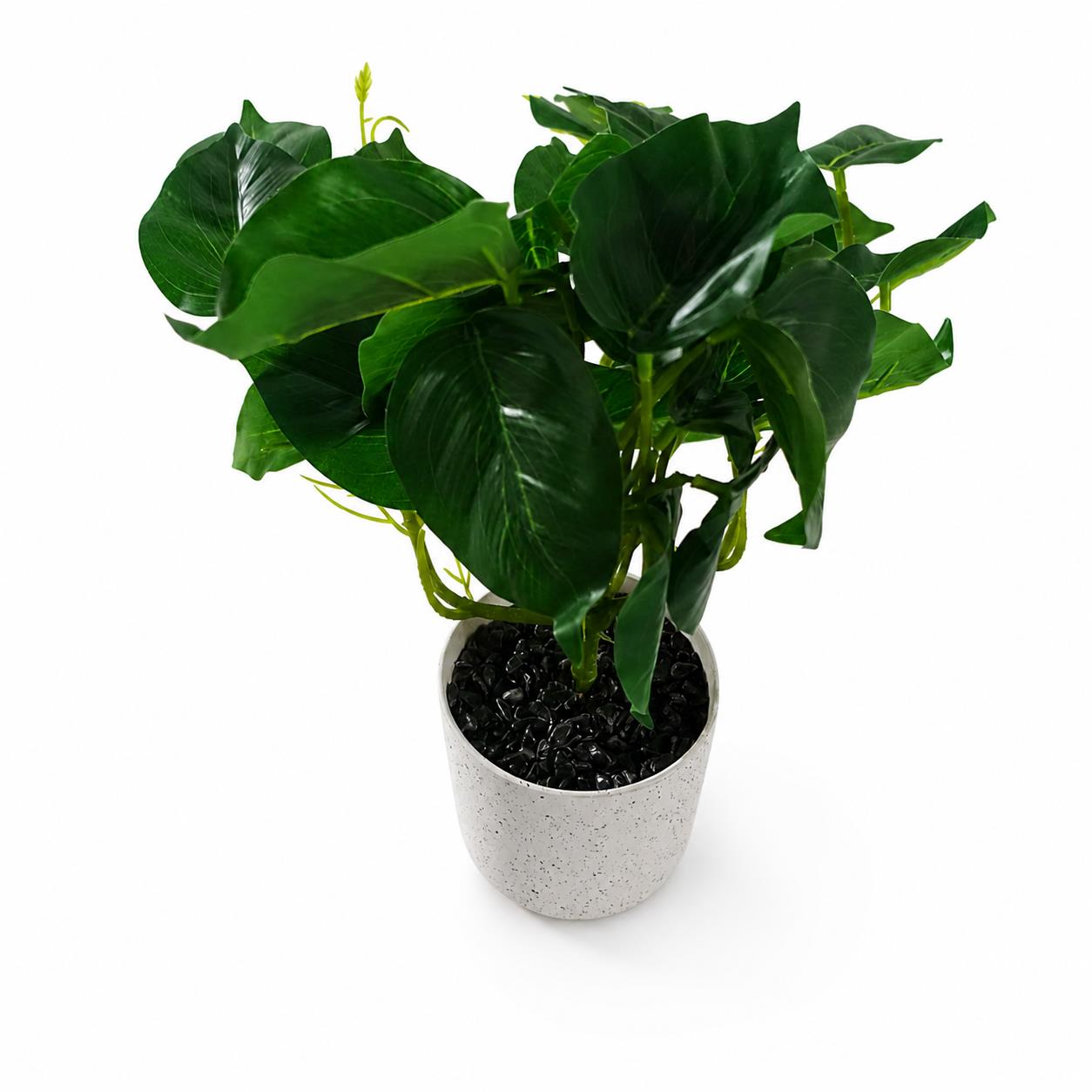 30cm Artificial Mini Pothos in Decorative White Pot – image 3