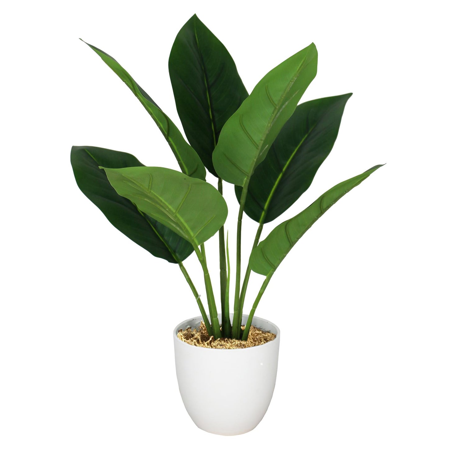 45cm Artificial Aureum Plant – image 3