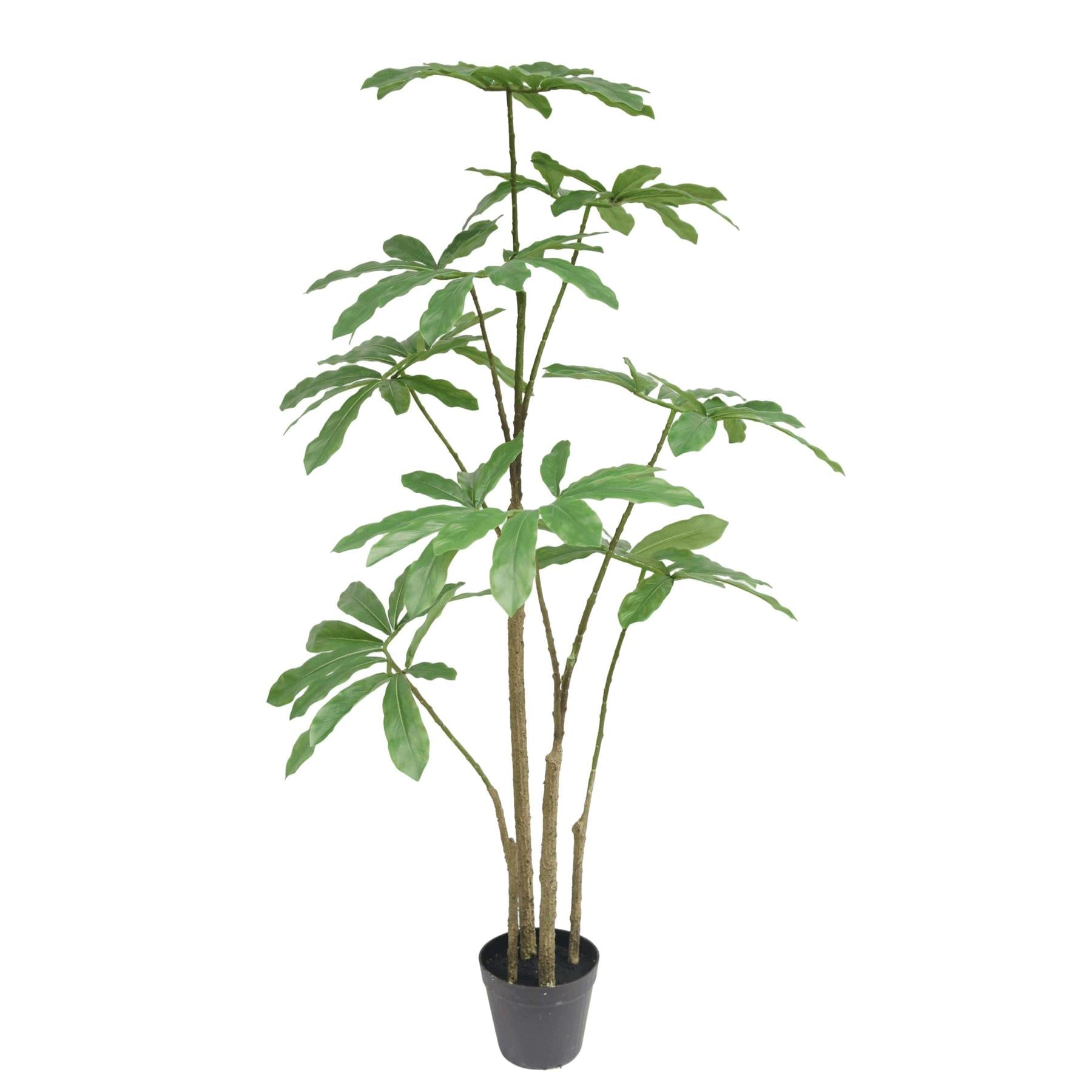 120cm Dwarf Umbrella Realistic Artificial Tree – image 3