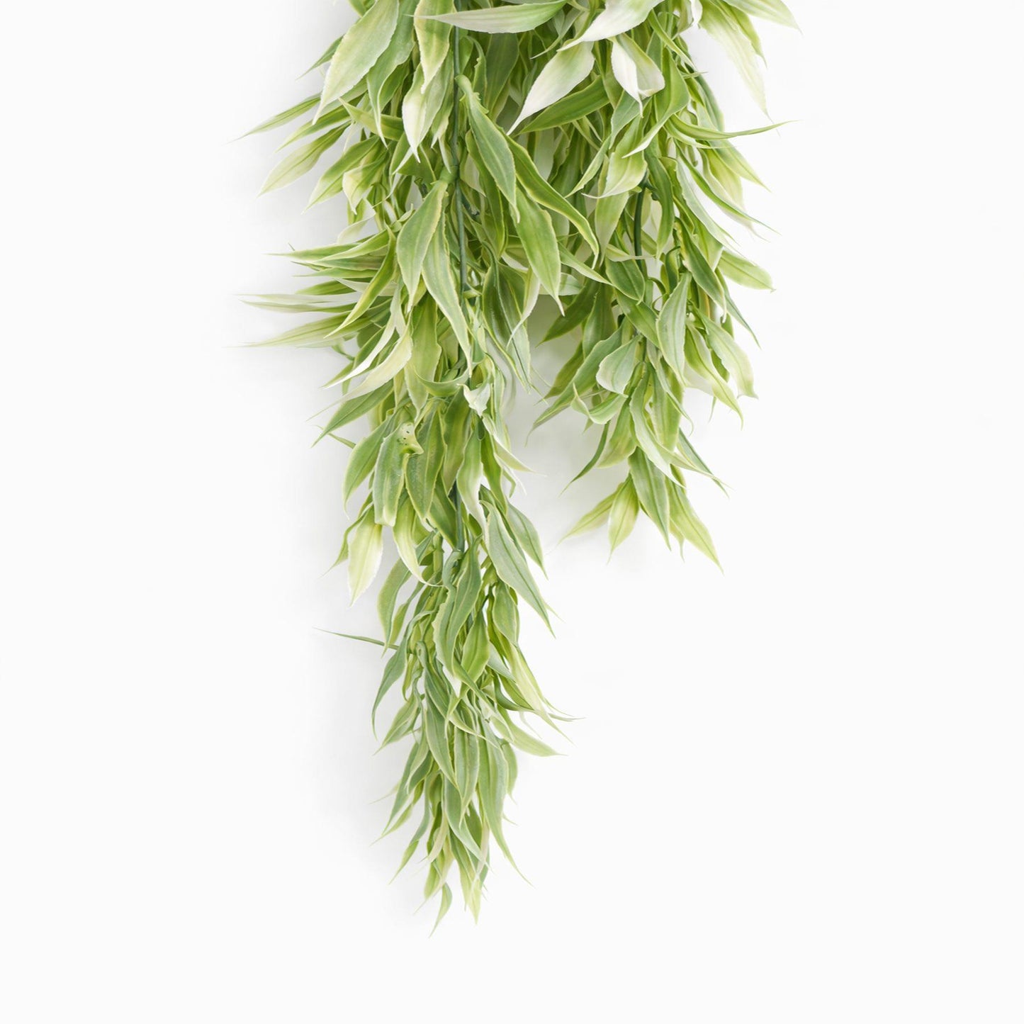 80cm Artificial Italian Ruscus Hanging Plant with Foliage Light Green – image 2