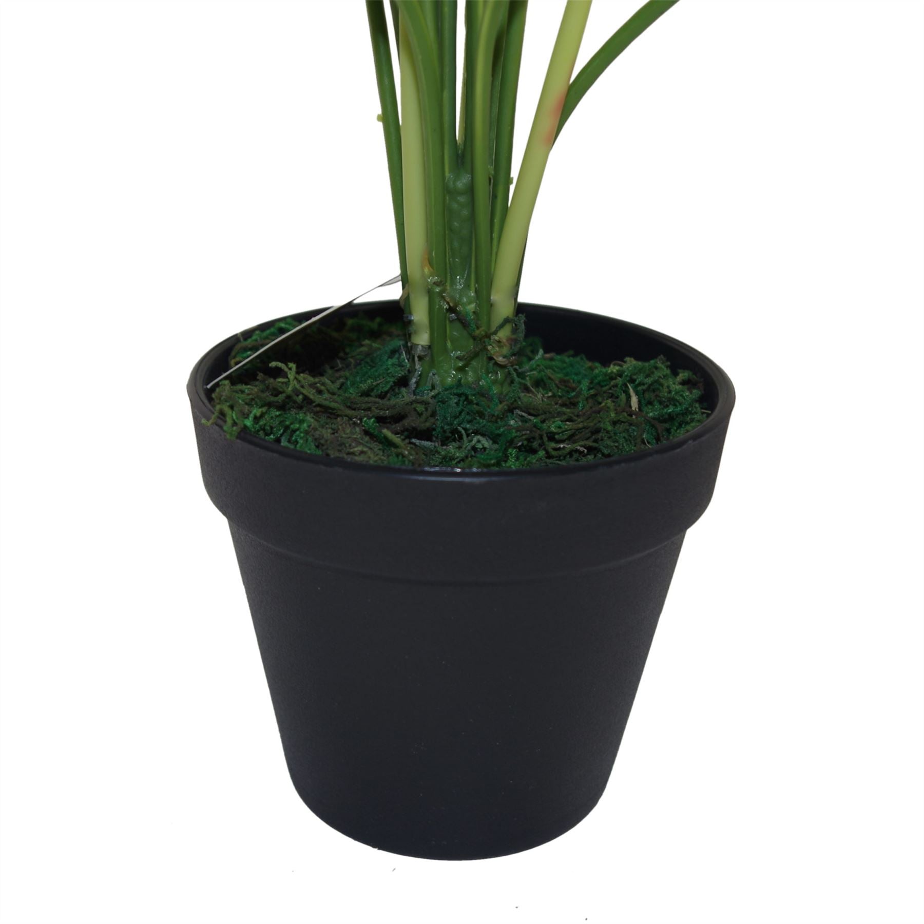 60cm Artificial Japanese Aralia Plant Evergreen – image 3