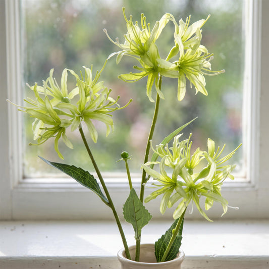 72cm Artificial Lime Green Spider Lily Stem