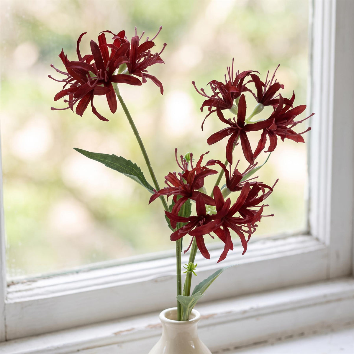 72cm Artificial Burgundy Spider Lily Stem