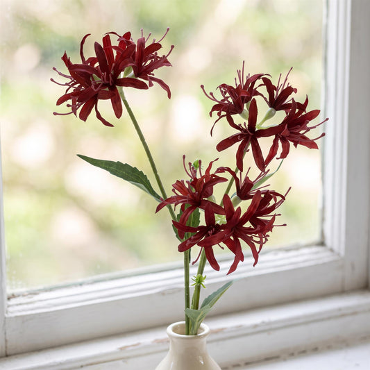 72cm Artificial Burgundy Spider Lily Stem