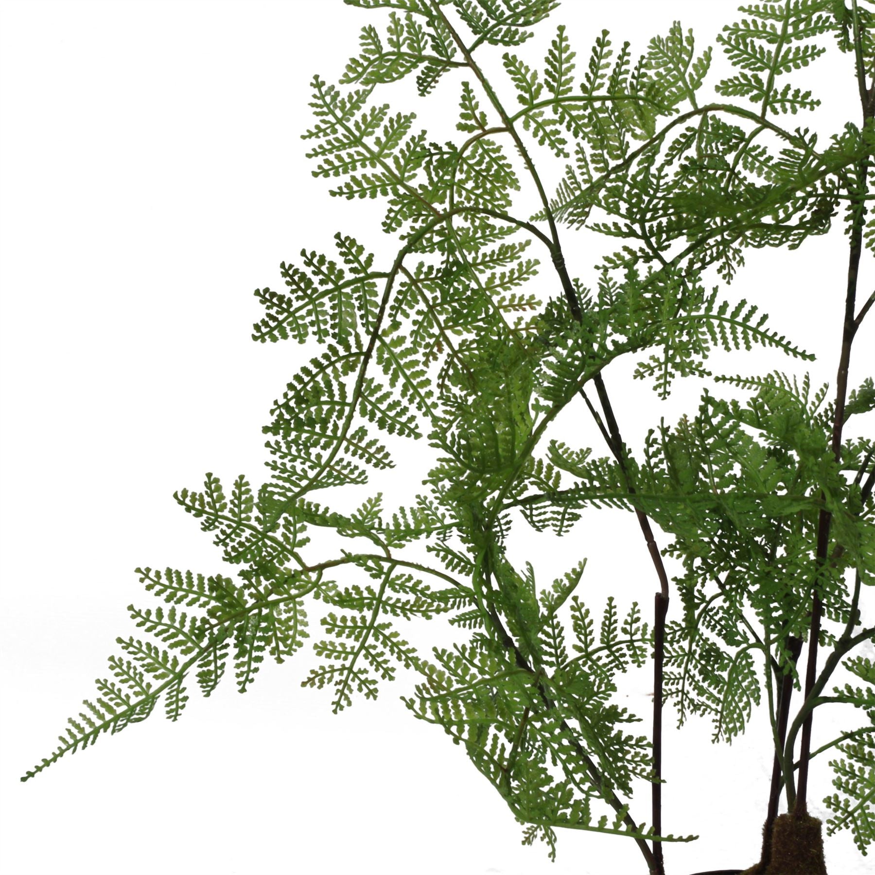 Artificial 150cm Natural Moss Base Fern Foliage Plant – image 6