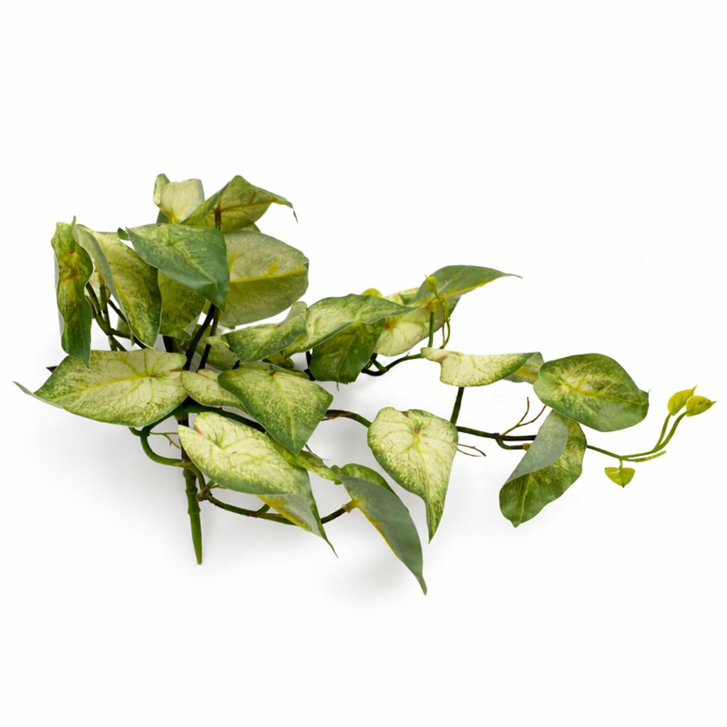 25cm Artificial Trailing Variegated Caladium Vine Plant Light Green – image 2