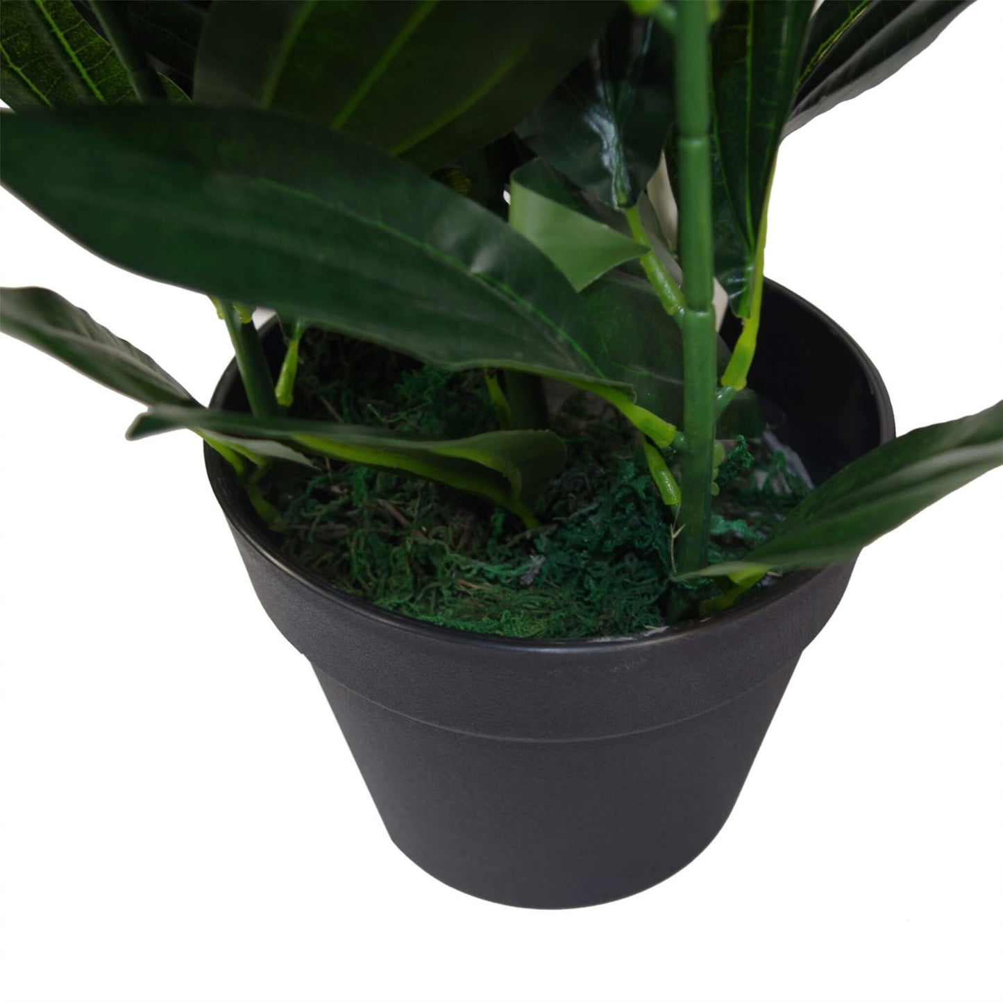 70cm Large Bushy Artificial Evergreen House Plant – image 3