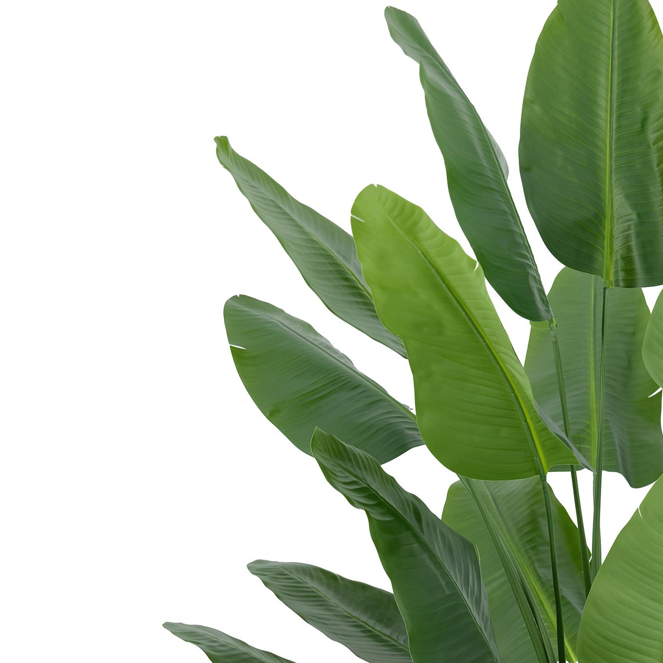 200cm Traveller Palm Artificial Tree – image 3