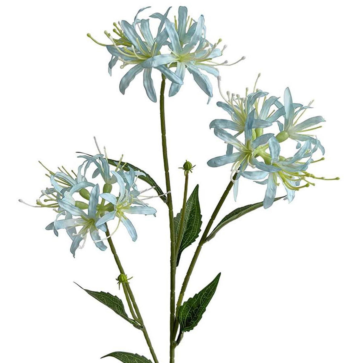 72cm Artificial Light Blue Spider Lily Stem