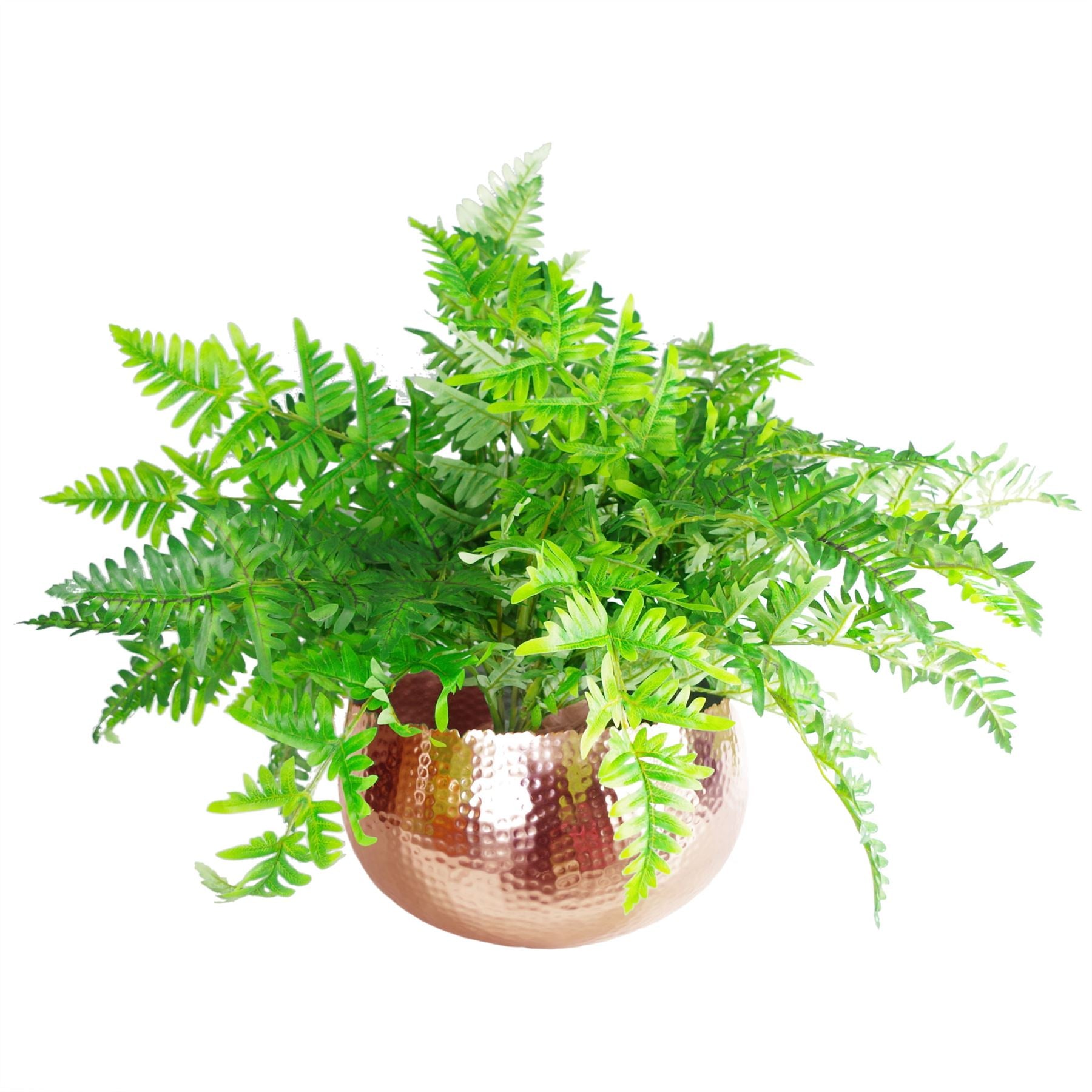 Leaf XL Metal Bowl Planter 32 x 20cm Hammered Copper Colour Curvy Edge – image 3