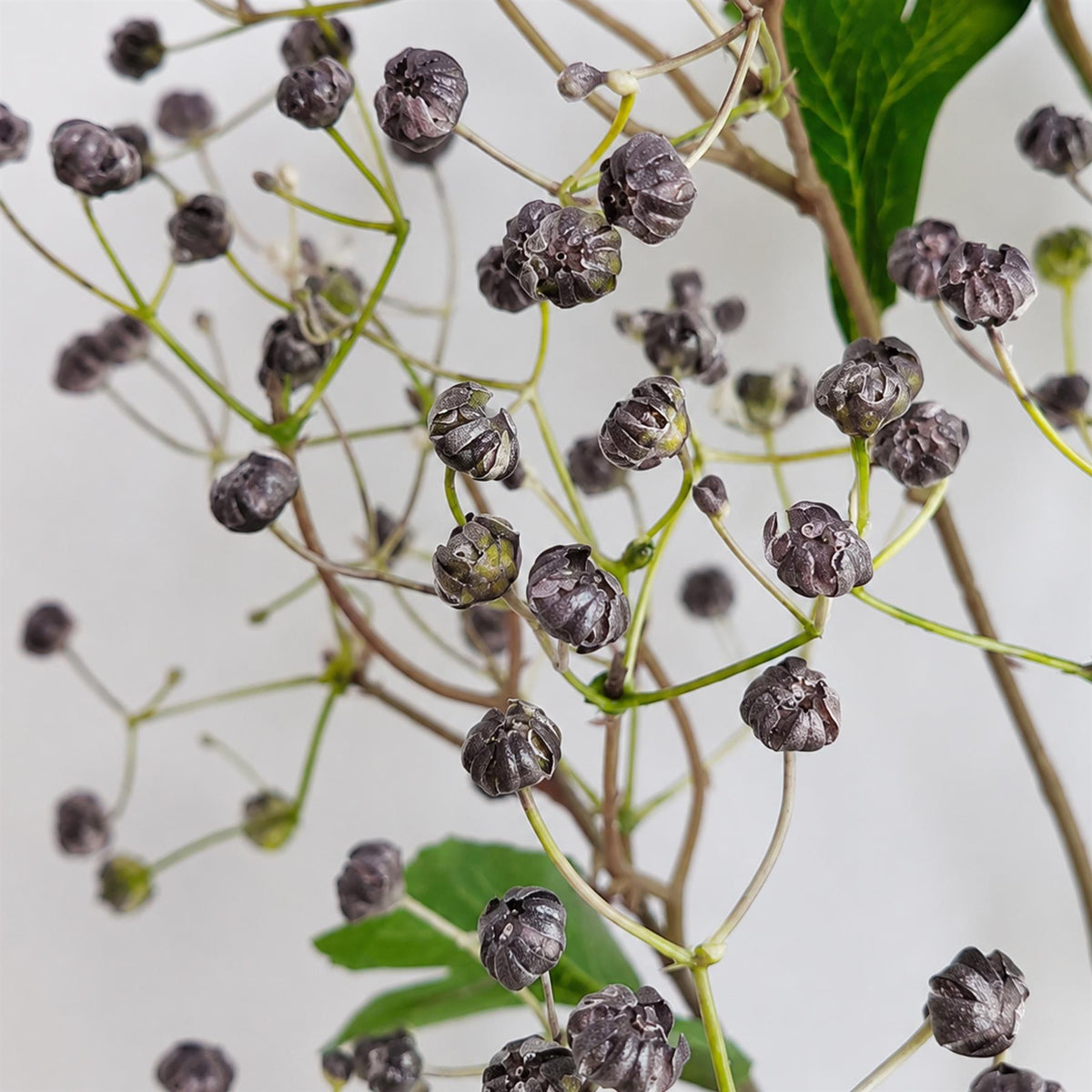 86cm Artificial Blue Daphne Berry Spray