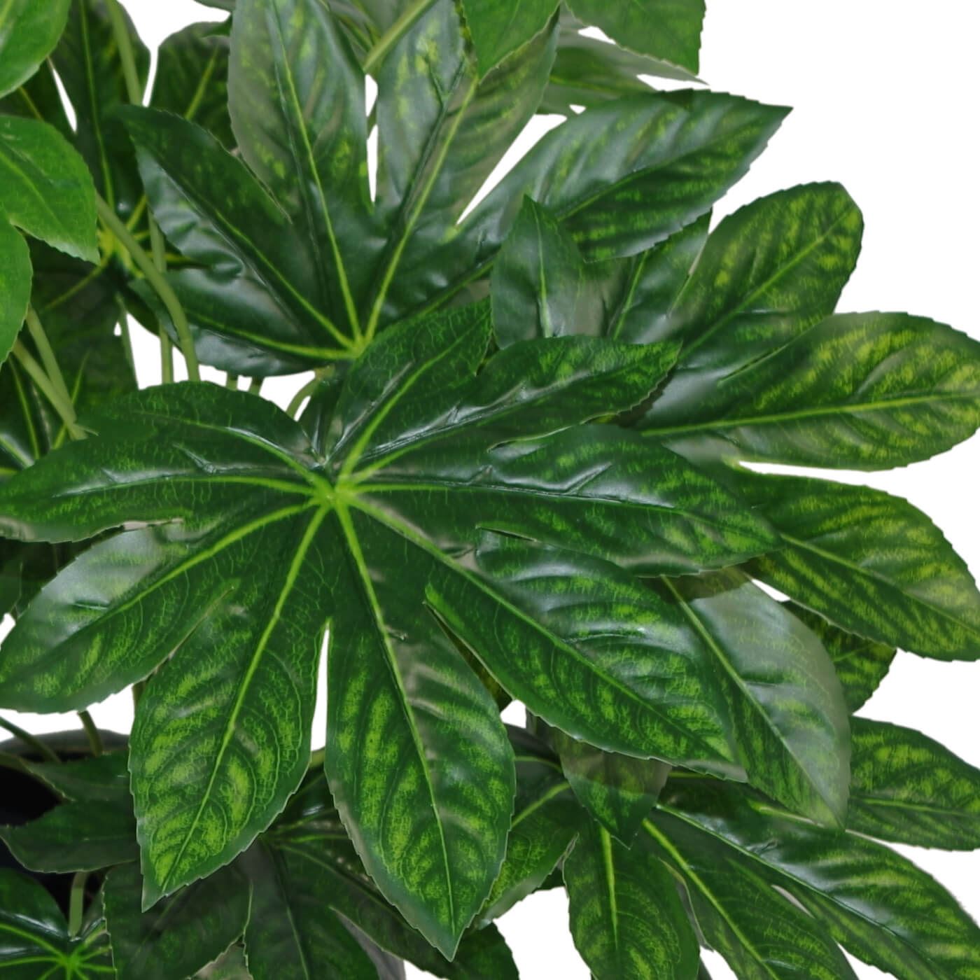 60cm Artificial Japanese Aralia Plant Evergreen – image 4