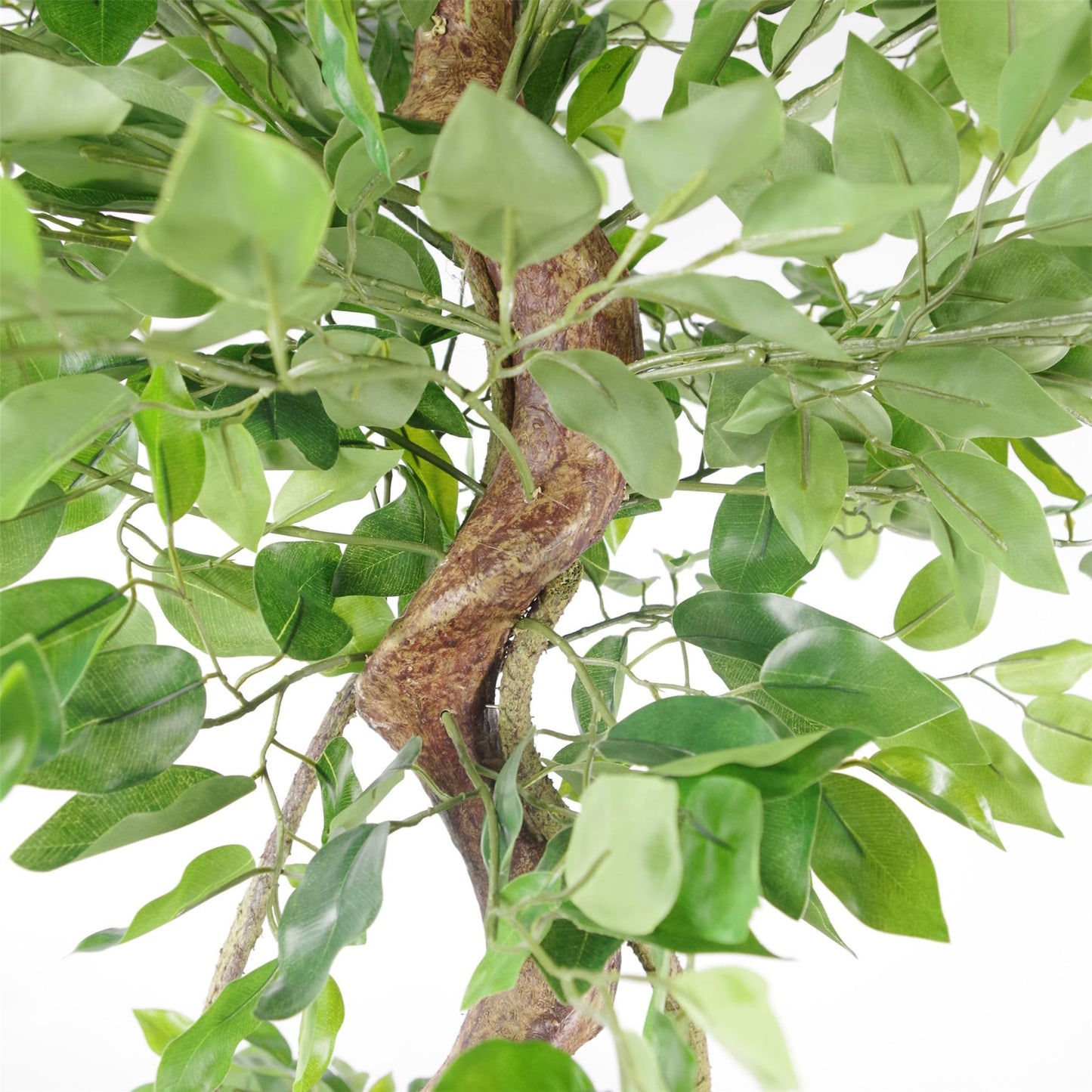 150cm Twisted Trunk Artificial Japanese Fruticosa Ficus Tree Planter – image 3