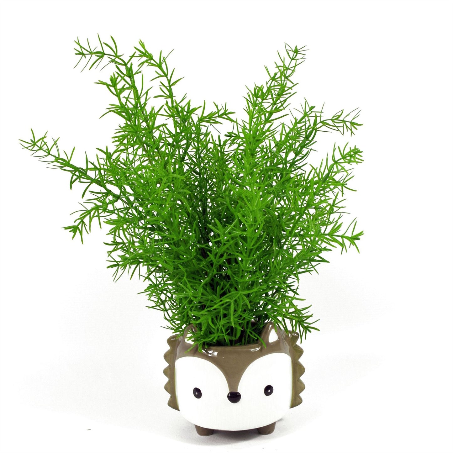 45cm Artificial Asparagus Fern Plant – image 3