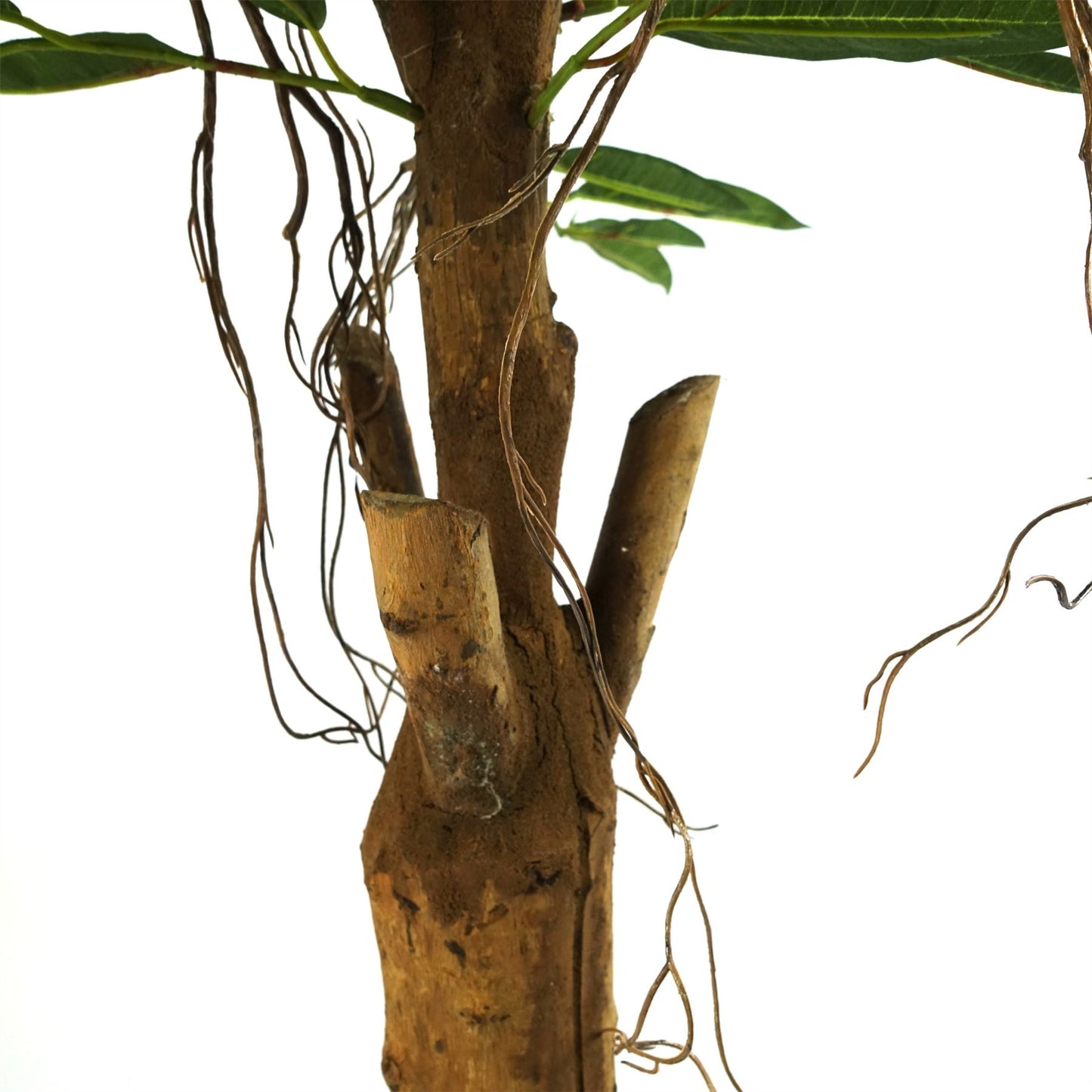 100cm Realistic Artificial Tree Longifolia Ficus Natural Trunk – image 5