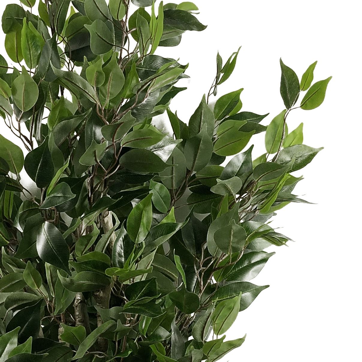 110cm Artificial Evergreen Ficus Tree – image 5