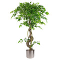 Artificial Twisted Trunk Japanese Fruticosa Style Ficus Tree 120cm