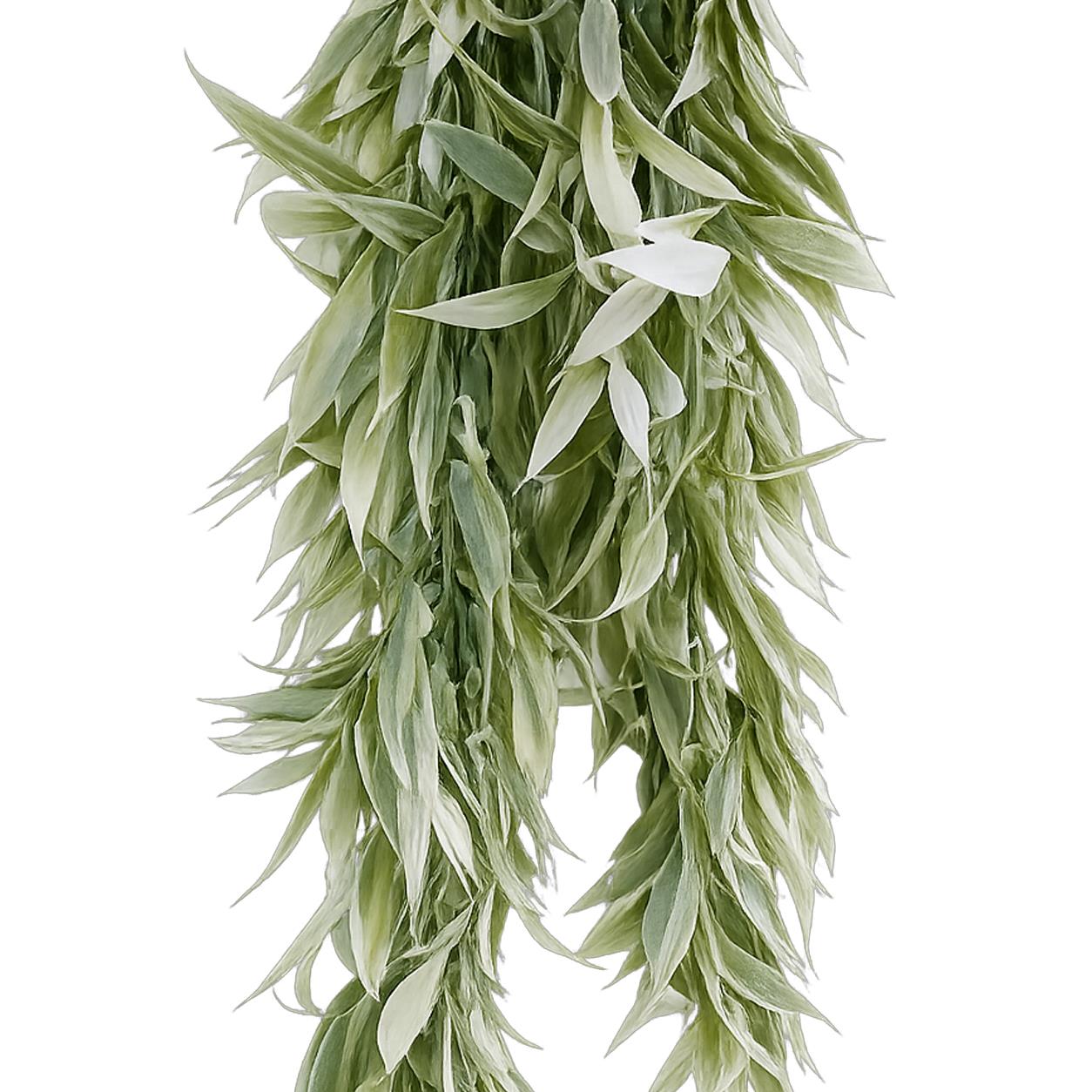 80cm Artificial Italian Ruscus Hanging Plant with Foliage Light Green – image 6