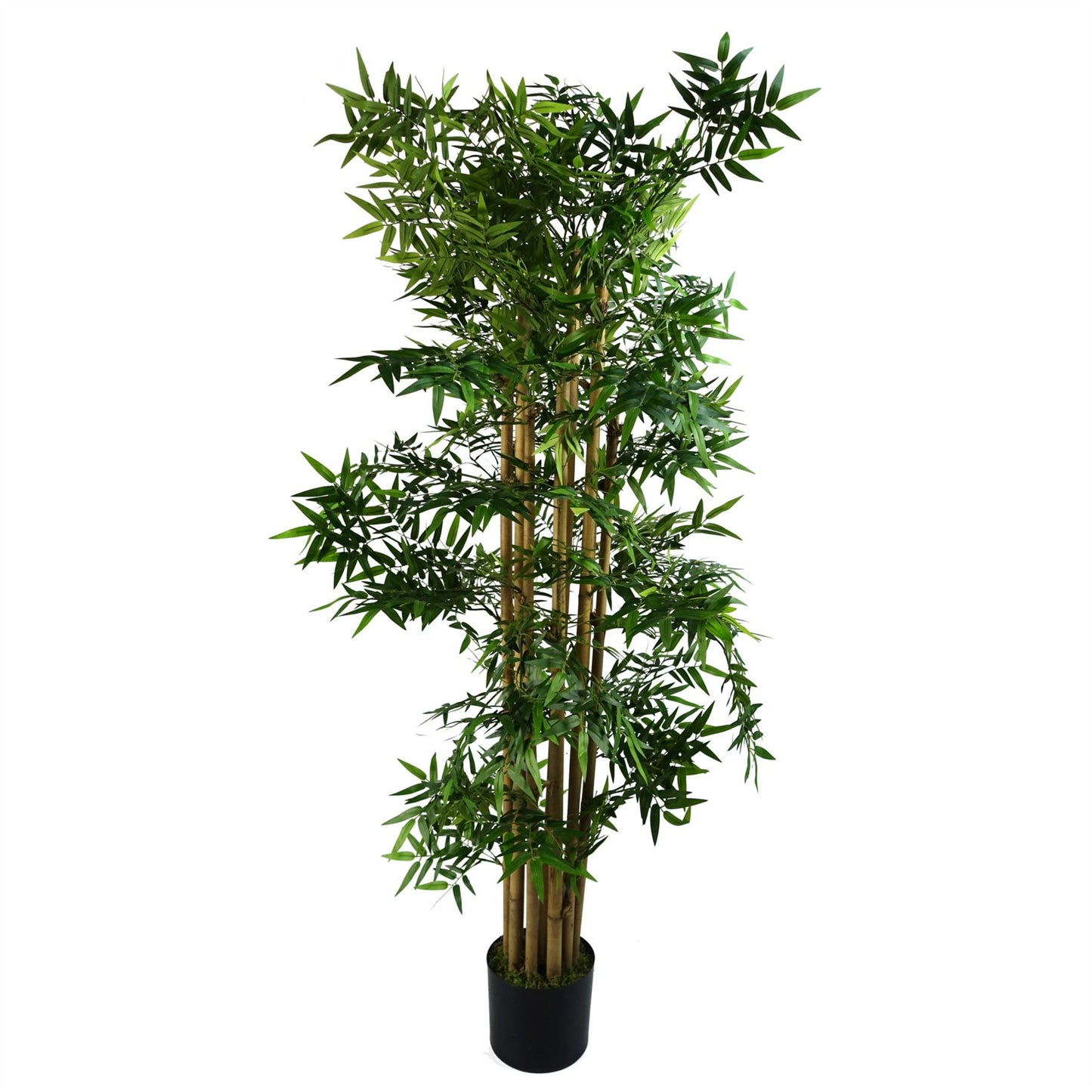 Artificial 150cm Oriental Bamboo Plant