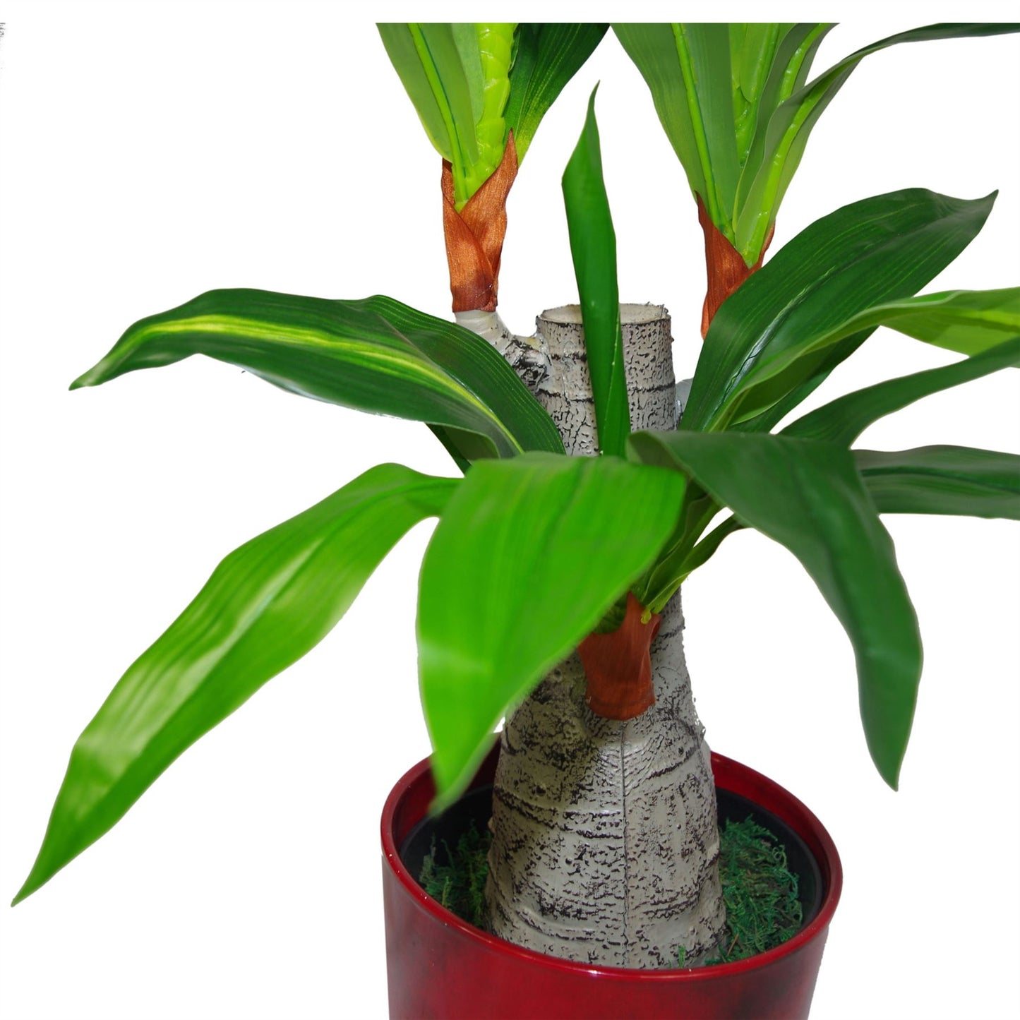 75cm Artificial Dracaena Plant Wide Trunk Triple Branch – image 3