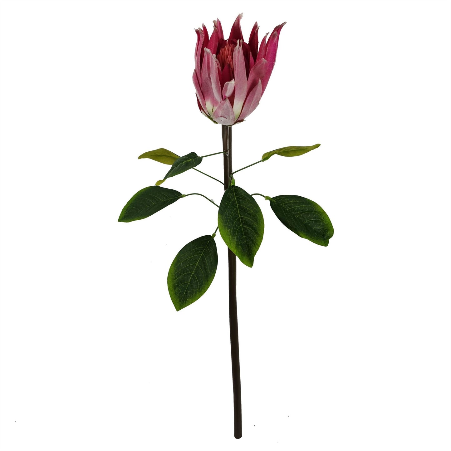 65cm Artificial Protea Sugarbush Flower Stem Pink – image 2