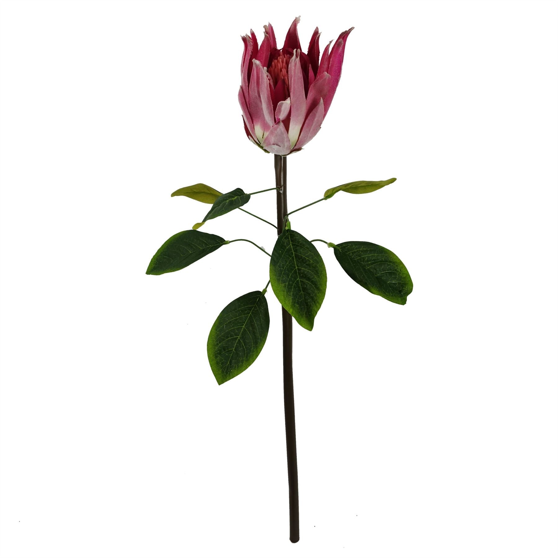 65cm Artificial Protea Sugarbush Flower Stem Pink – image 2