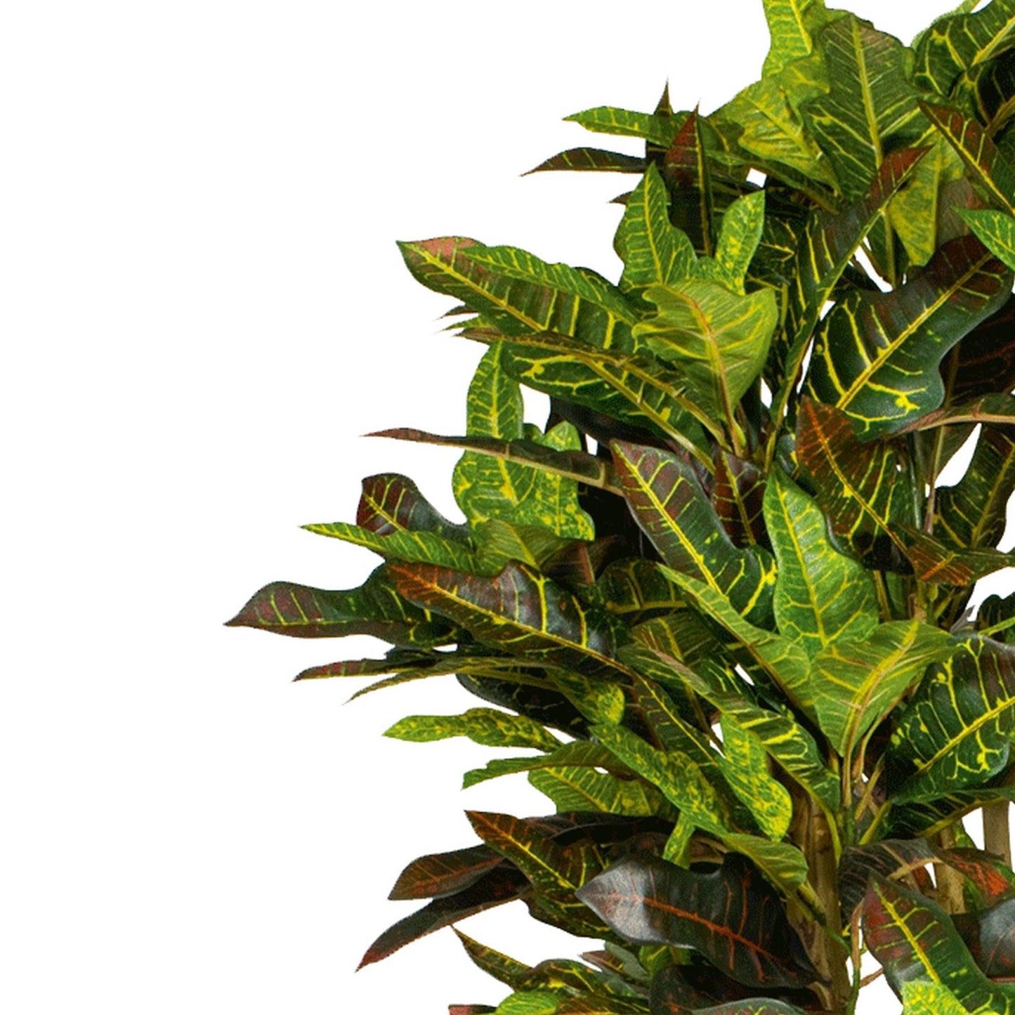 150cm Artificial Croton Tree – image 3