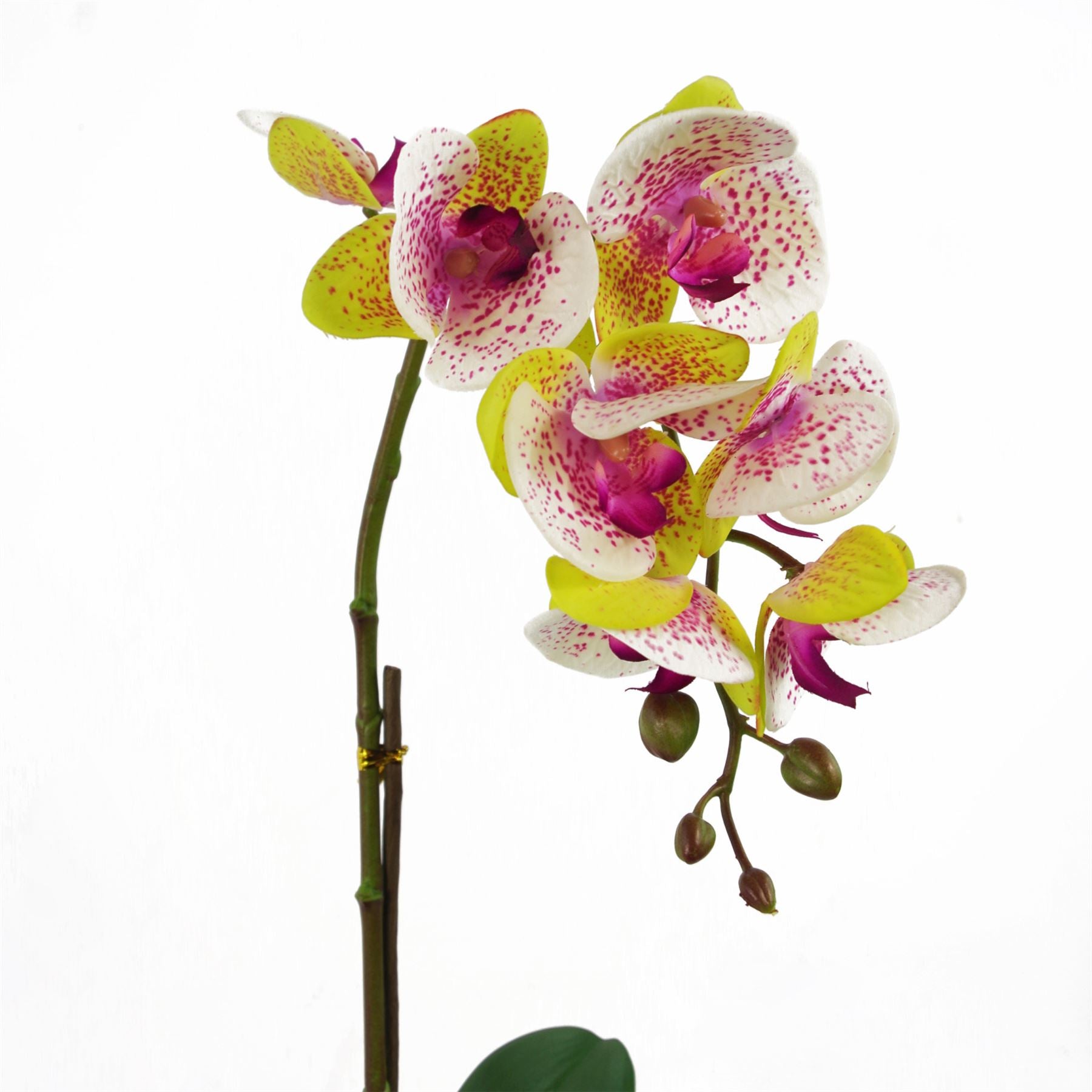 46cm Artificial Orchid Harlequin Pink with Silver Pot – image 3