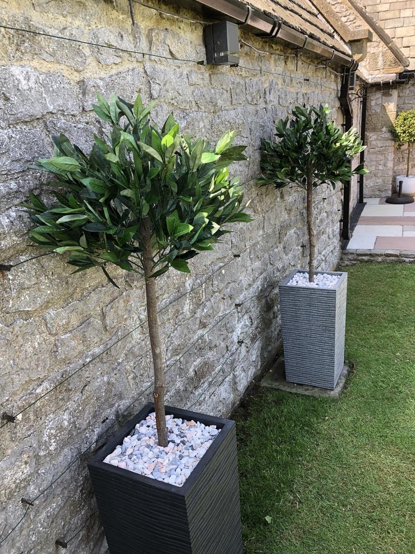 Pair of 120cm Plain Stem Artificial Topiary Bay Laurel Ball Trees – image 5