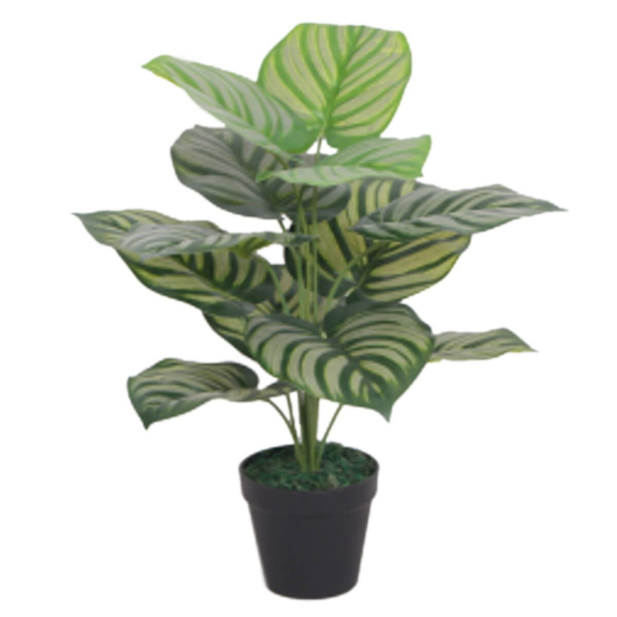 60cm Artificial Green Stripe Leaf Plant – image 3