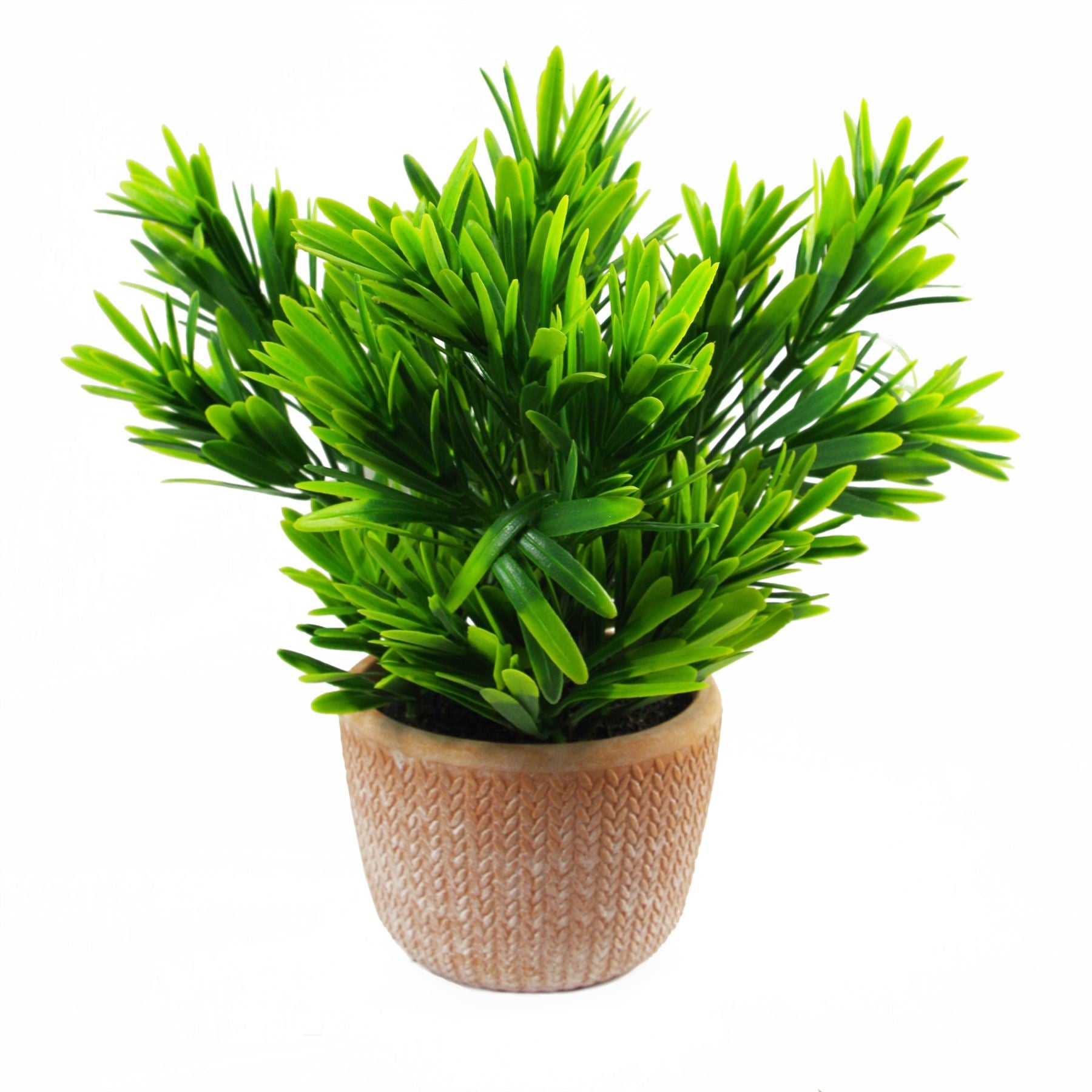 22cm Artificial Honey Plant Dark Green in Terracotta Pot – image 3